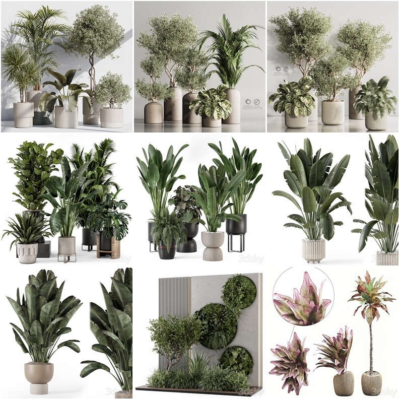 97套植物树木盆栽3D模型合集 3DSky Pro 97 Plants 3D Models Collection