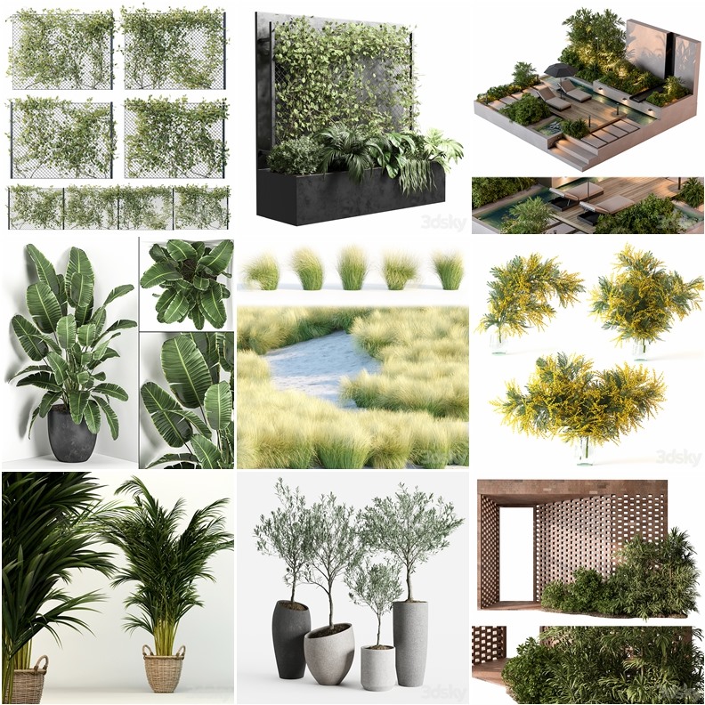 97套植物树木盆栽3D模型合集 3DSky Pro 97 Plants 3D Models Collection