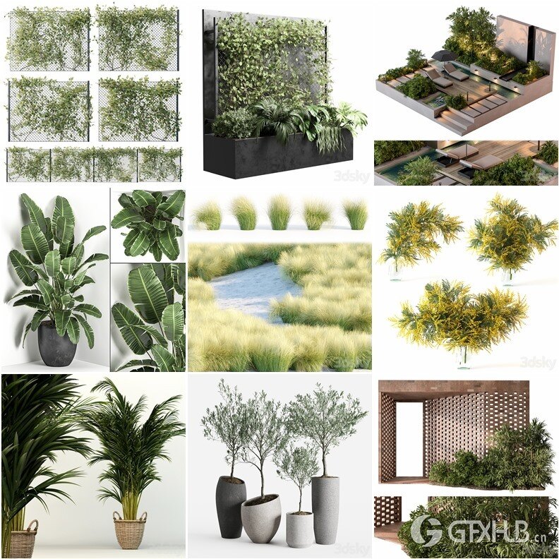 97套植物树木盆栽3D模型合集 3DSky Pro 97 Plants 3D Models Collection