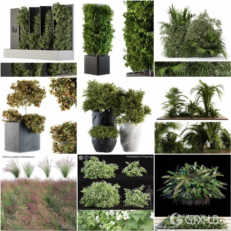 97套植物树木盆栽3D模型合集 3DSky Pro 97 Plants 3D Models Collection