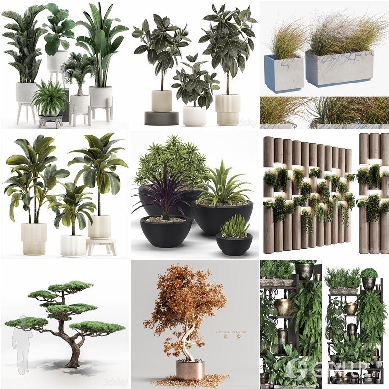 97套植物树木盆栽3D模型合集 3DSky Pro 97 Plants 3D Models Collection