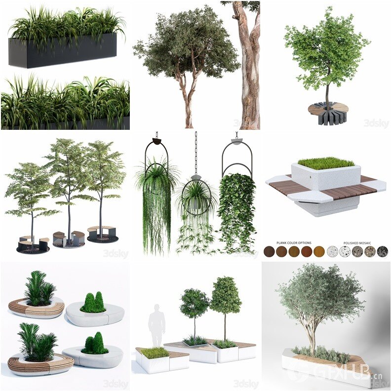 97套植物树木盆栽3D模型合集 3DSky Pro 97 Plants 3D Models Collection
