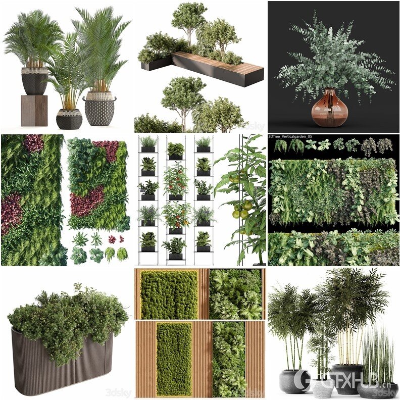 97套植物树木盆栽3D模型合集 3DSky Pro 97 Plants 3D Models Collection