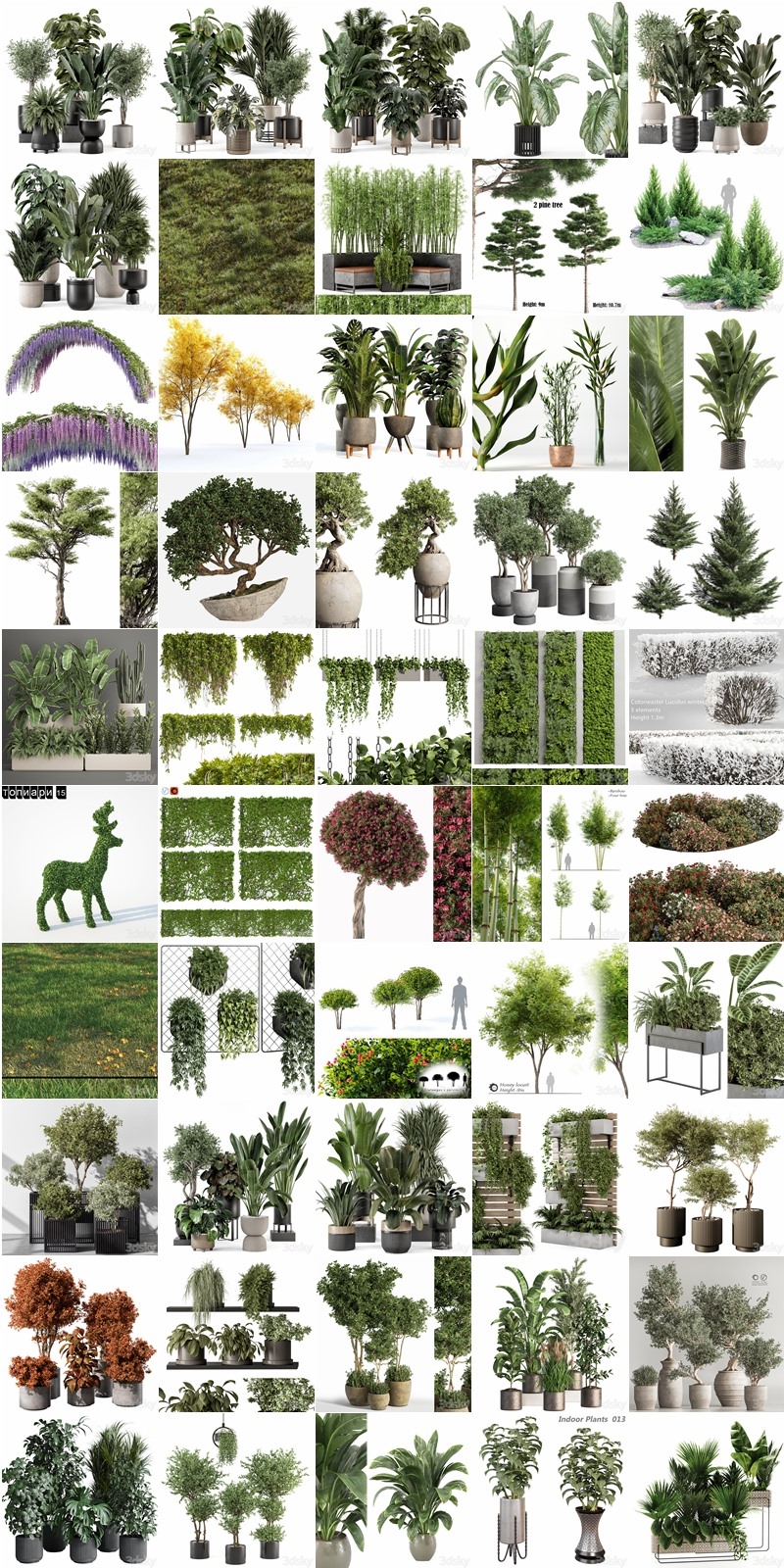 100套植物树木盆栽3D模型合集 3DSky Pro 100 Plants 3D Models Collection