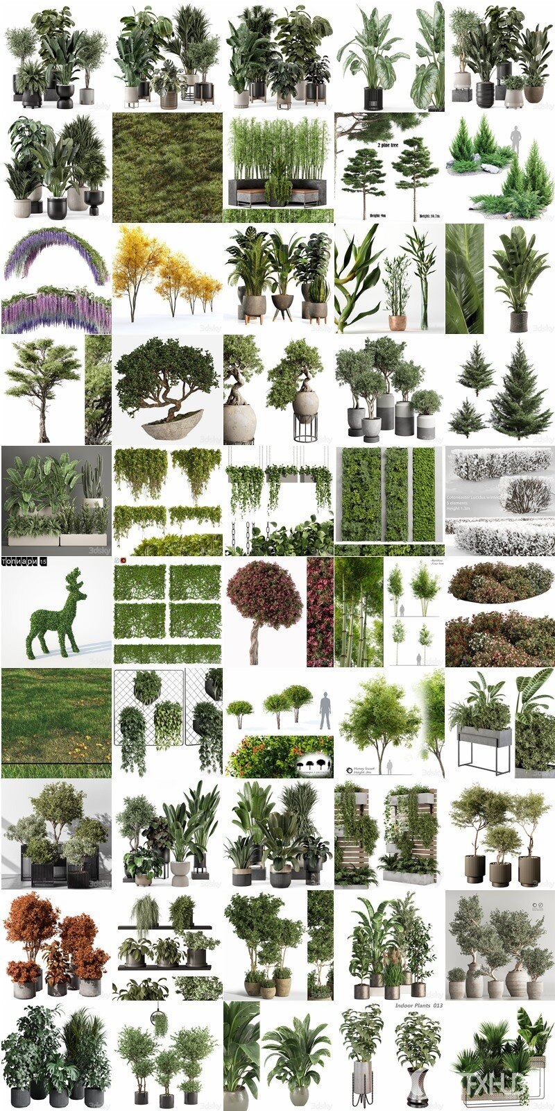 100套植物树木盆栽3D模型合集 3DSky Pro 100 Plants 3D Models Collection
