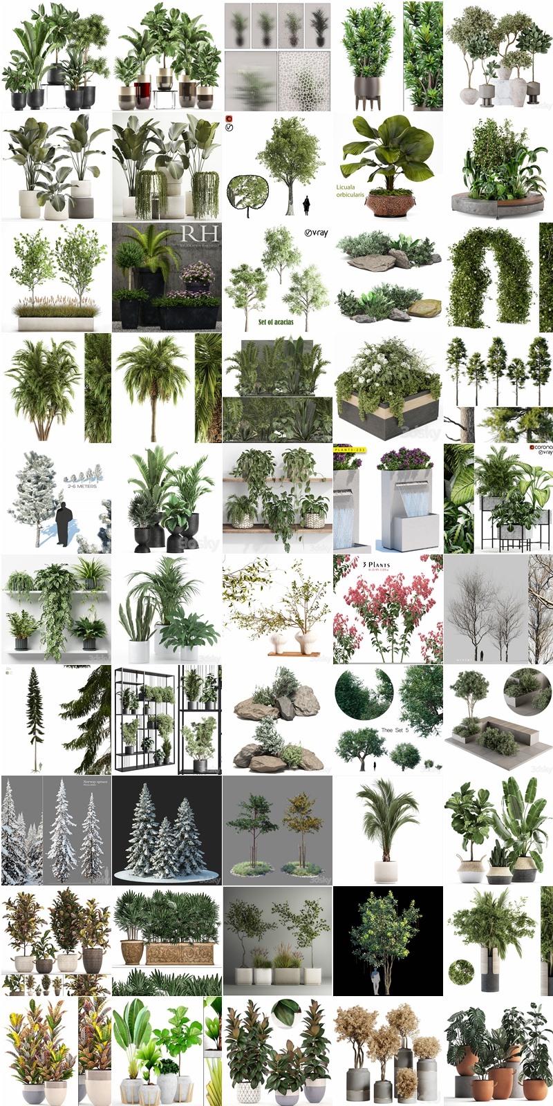 100套植物树木盆栽3D模型合集 3DSky Pro 100 Plants 3D Models Collection
