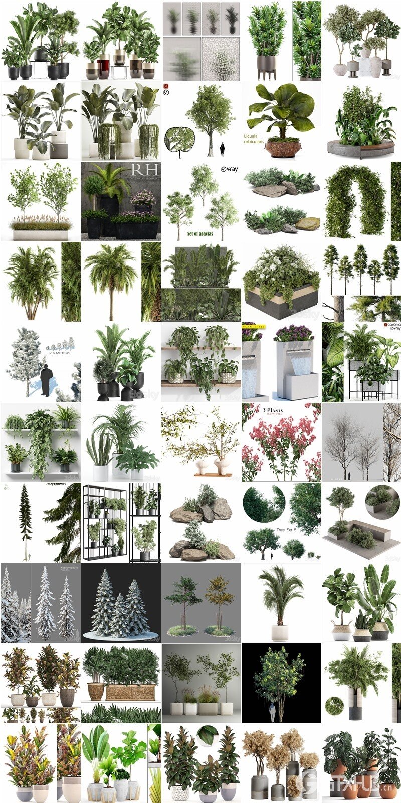 100套植物树木盆栽3D模型合集 3DSky Pro 100 Plants 3D Models Collection