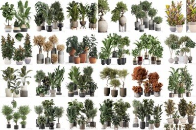 100套植物树木盆栽3D模型合集 3DSky Pro 100 Plants 3D Models Collection