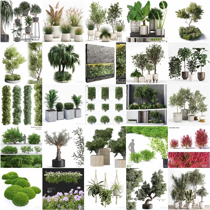 115套植物树木盆栽3D模型合集 3DSky Pro 115 Plants 3D Models Collection