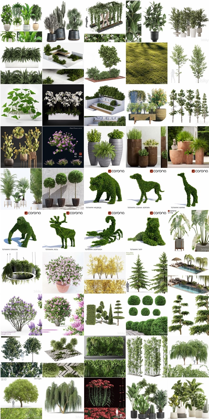 115套植物树木盆栽3D模型合集 3DSky Pro 115 Plants 3D Models Collection