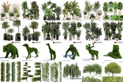 115套植物树木盆栽3D模型合集 3DSky Pro 115 Plants 3D Models Collection