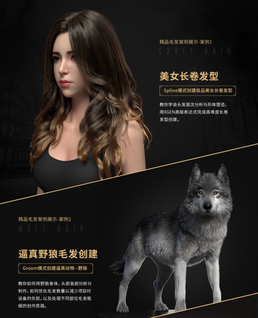 《XGEN毛发宝典》次世代与影视写实毛发系统教学 XGEN hair treasure book-Huang Huifeng next generation