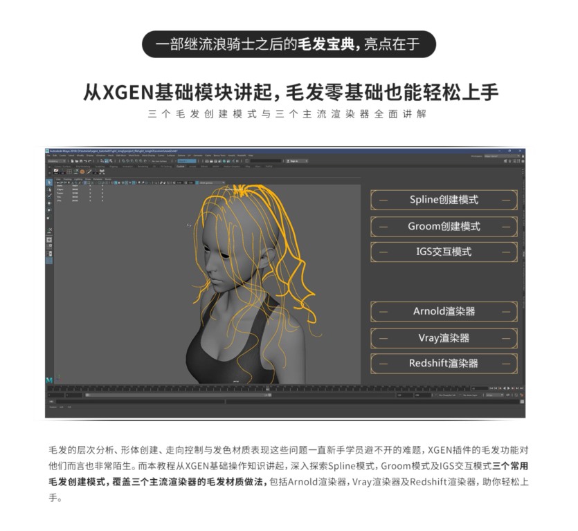 《XGEN毛发宝典》次世代与影视写实毛发系统教学 XGEN hair treasure book-Huang Huifeng next generation