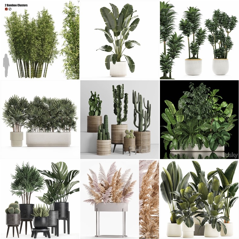 119套植物树木盆栽3D模型合集 3DSky Pro 119 Plants 3D Models Collection