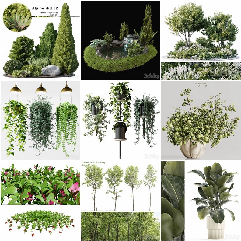 119套植物树木盆栽3D模型合集 3DSky Pro 119 Plants 3D Models Collection