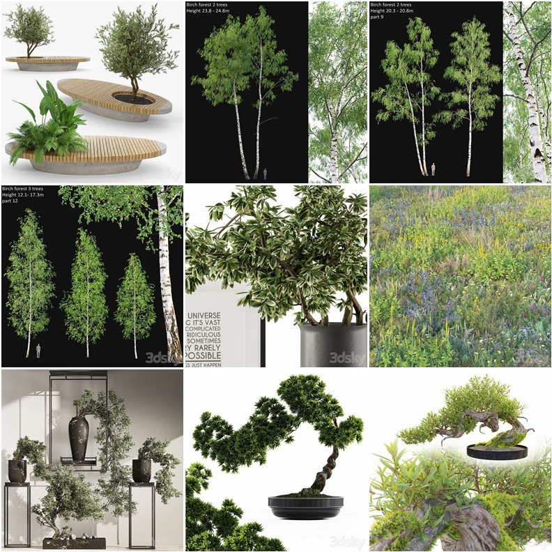119套植物树木盆栽3D模型合集 3DSky Pro 119 Plants 3D Models Collection