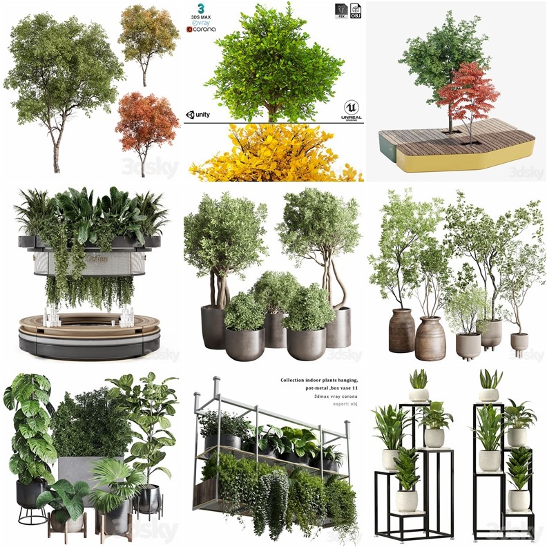 119套植物树木盆栽3D模型合集 3DSky Pro 119 Plants 3D Models Collection