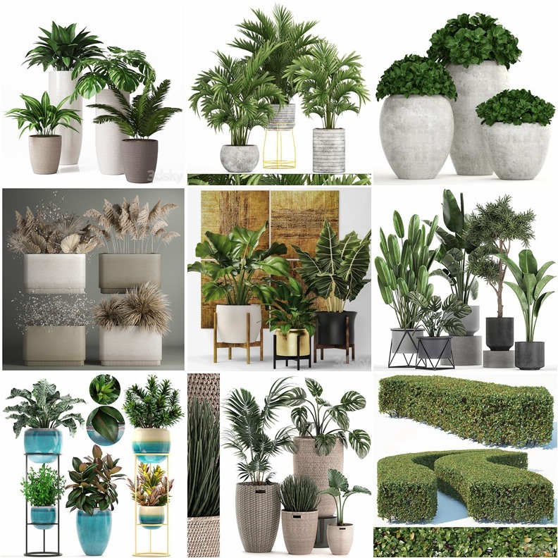 119套植物树木盆栽3D模型合集 3DSky Pro 119 Plants 3D Models Collection