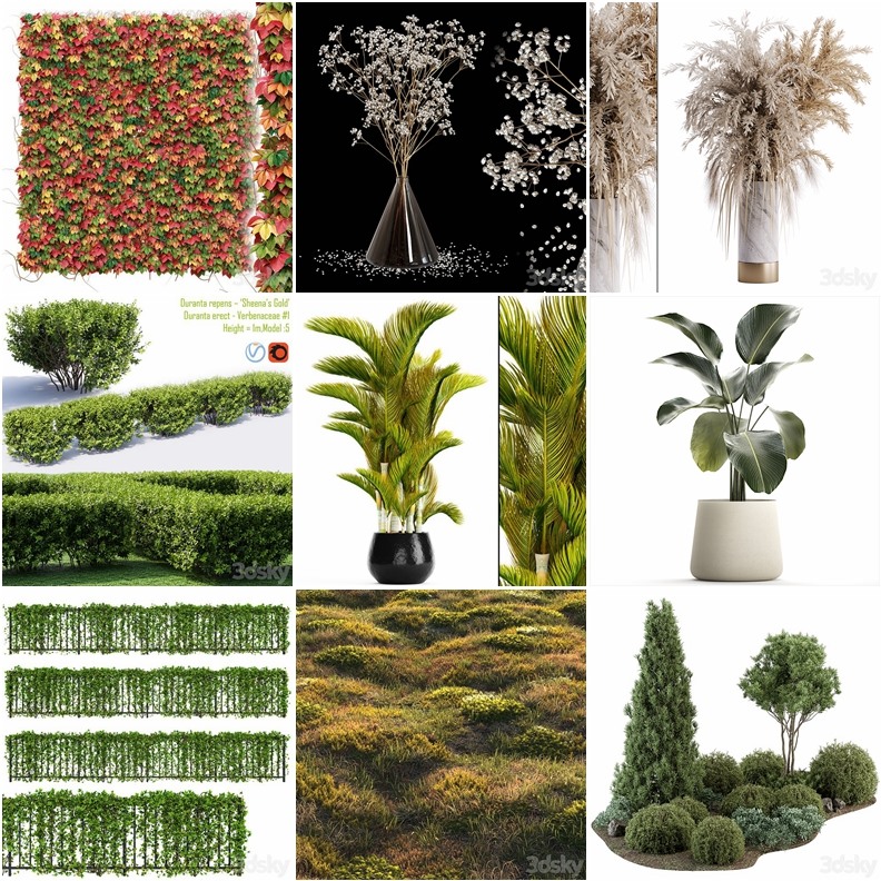 119套植物树木盆栽3D模型合集 3DSky Pro 119 Plants 3D Models Collection
