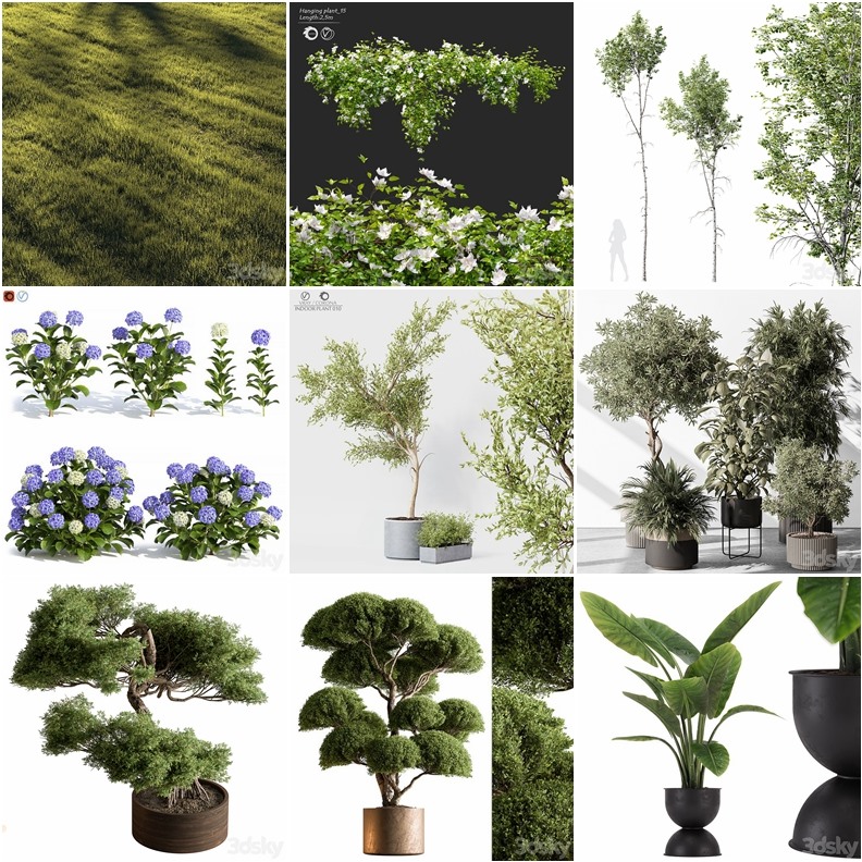 119套植物树木盆栽3D模型合集 3DSky Pro 119 Plants 3D Models Collection
