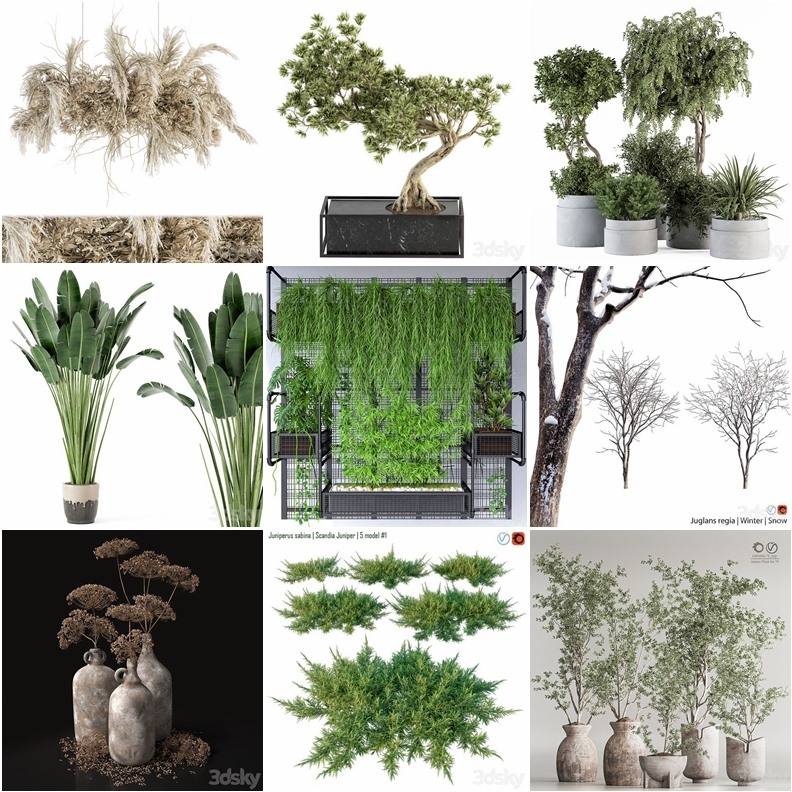 119套植物树木盆栽3D模型合集 3DSky Pro 119 Plants 3D Models Collection