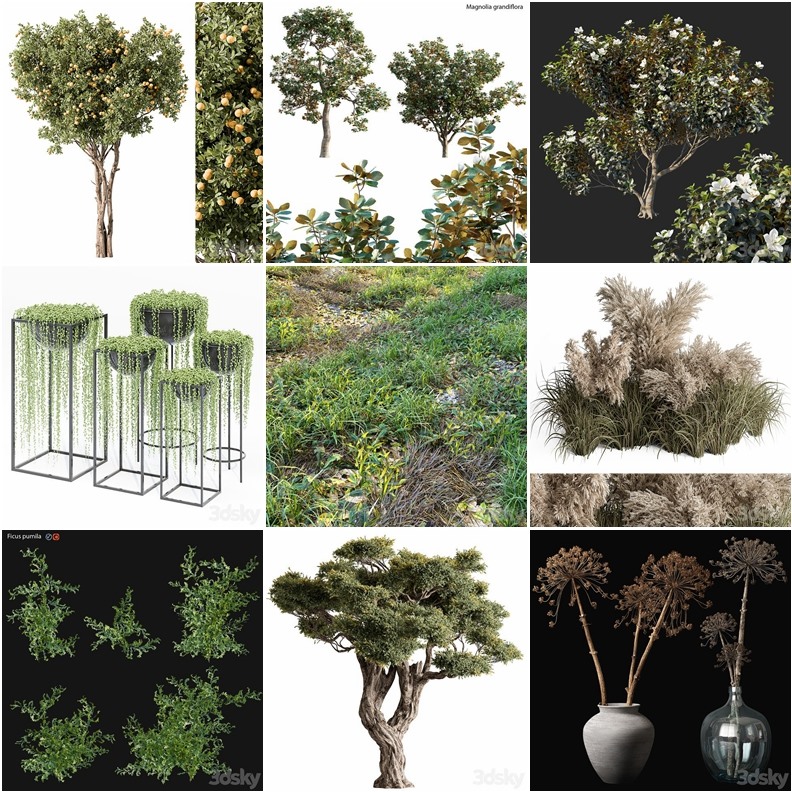 119套植物树木盆栽3D模型合集 3DSky Pro 119 Plants 3D Models Collection