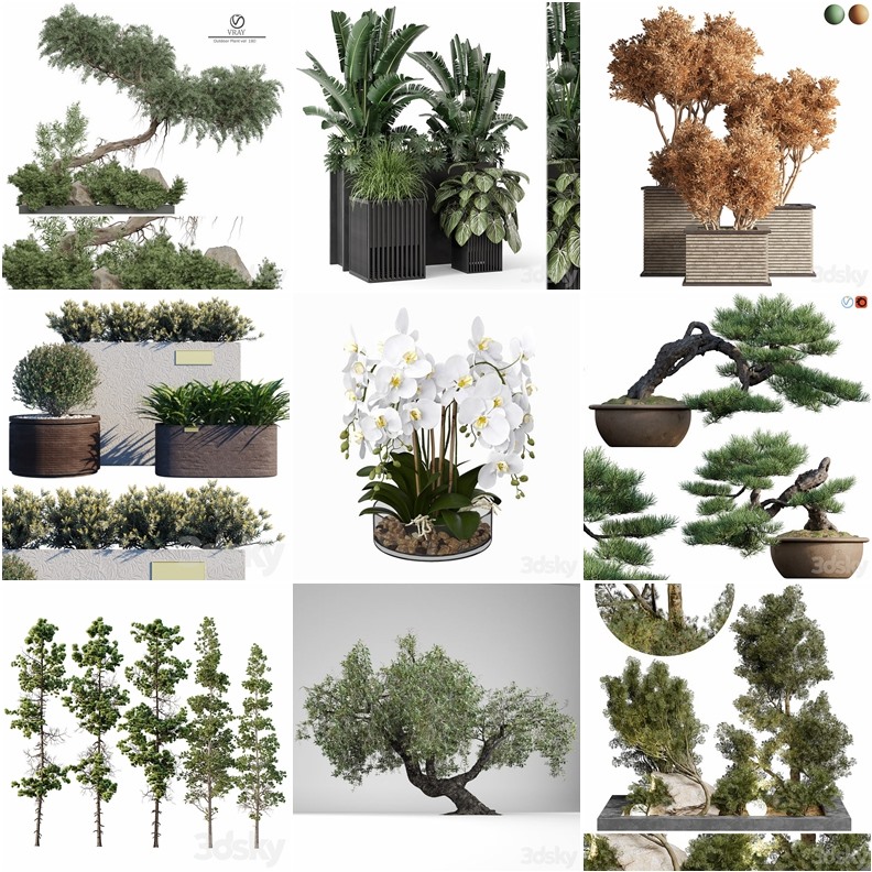 119套植物树木盆栽3D模型合集 3DSky Pro 119 Plants 3D Models Collection