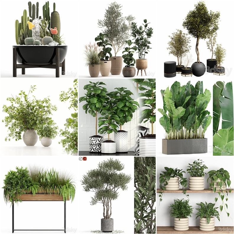 119套植物树木盆栽3D模型合集 3DSky Pro 119 Plants 3D Models Collection