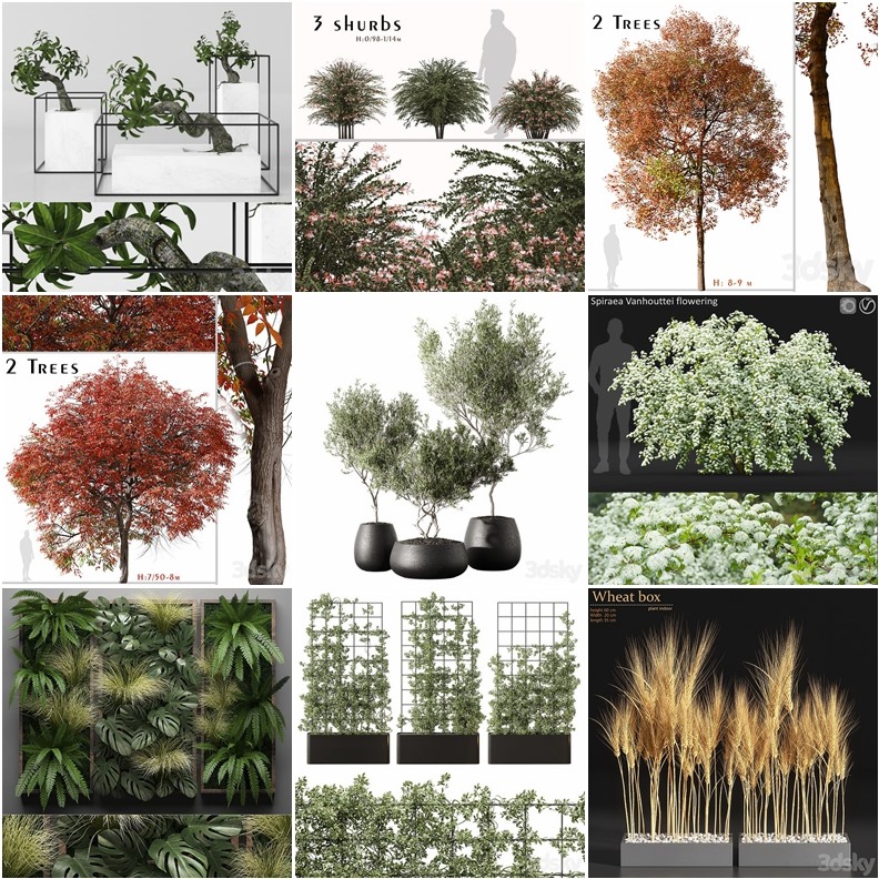 119套植物树木盆栽3D模型合集 3DSky Pro 119 Plants 3D Models Collection