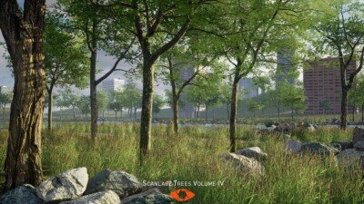 UE虚幻引擎 7 棵高度逼真照片扫描皂荚树资产 Scanlabz Trees Honeylocust Tree