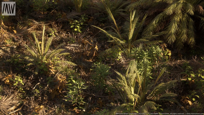 UE虚幻引擎 沙丘沙漠景观资产 MW Dune Desert Landscape