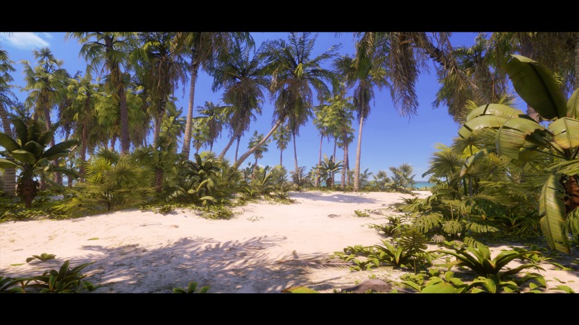 UE热带植物和景观资产 Tropical Foliage and Landscape 5.3