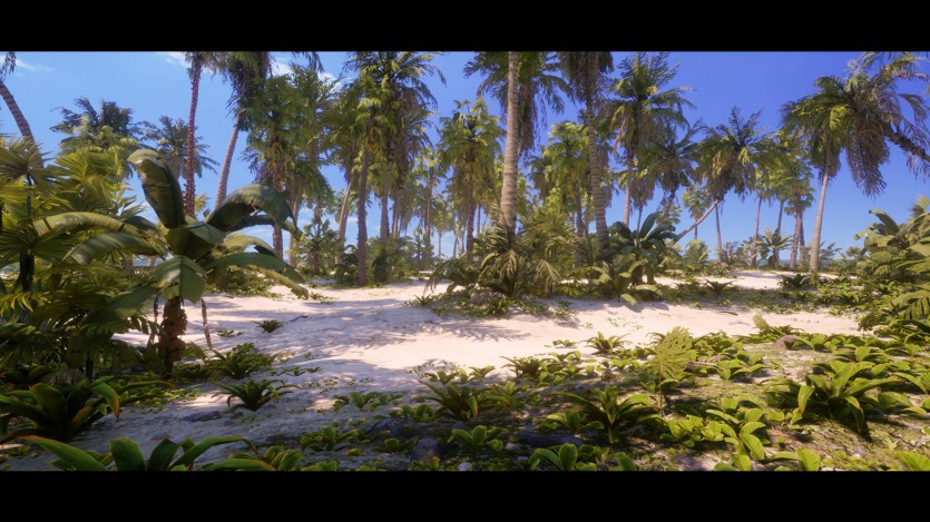 UE热带植物和景观资产 Tropical Foliage and Landscape 5.3