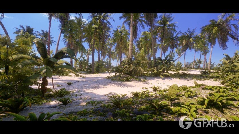 UE热带植物和景观资产 Tropical Foliage and Landscape 5.3