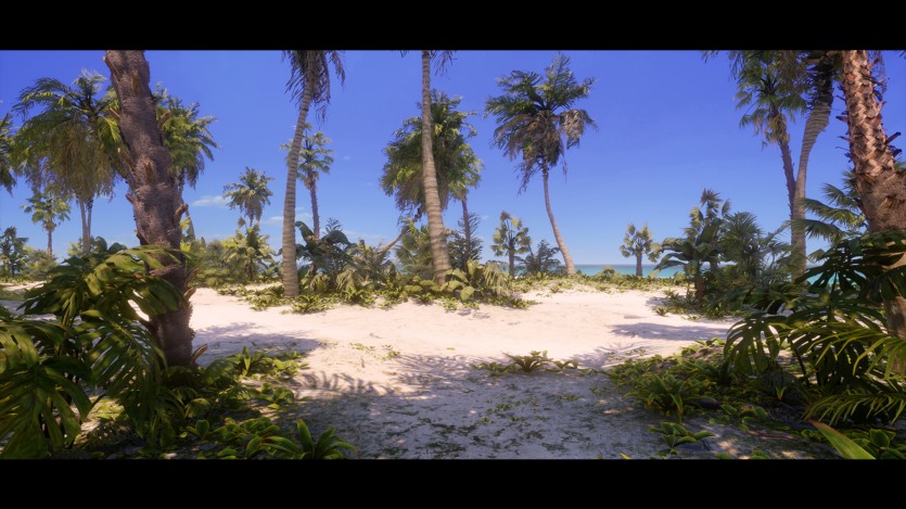UE热带植物和景观资产 Tropical Foliage and Landscape 5.3