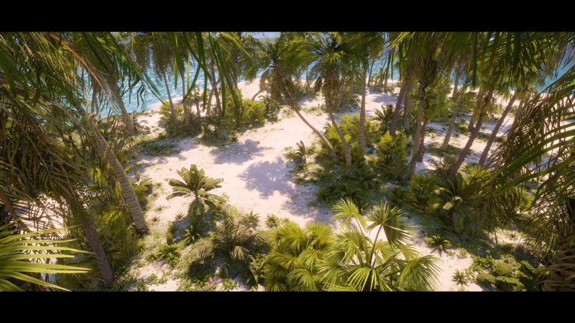 UE热带植物和景观资产 Tropical Foliage and Landscape 5.3