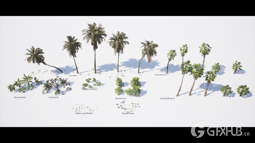 UE热带植物和景观资产 Tropical Foliage and Landscape 5.3