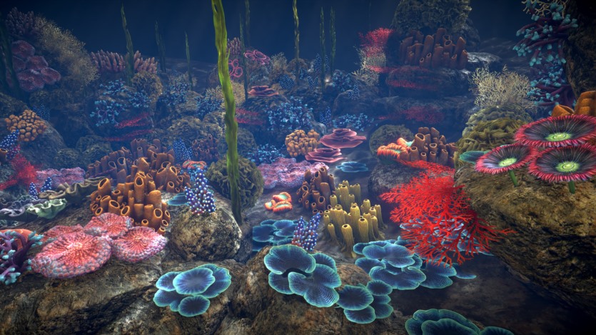 UE虚幻引擎珊瑚模型资产 Unreal Engine Corals (4.23 - 4.27, 5.0 - 5.2)