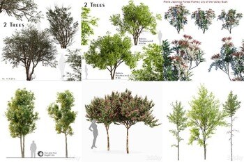 30套树木灌木3D模型合集 – 20240708