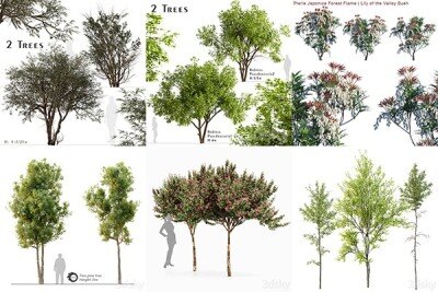 30套树木灌木3D模型合集 – 20240708