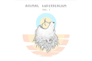 1300个大自然真实动物实录无损音效 Animal Hyperrealism Vol.I