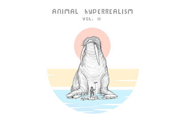 2000个大自然真实动物实录无损音效 Animal Hyperrealism Vol.II