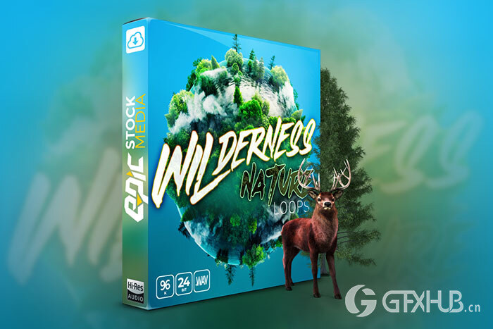 200个荒野乡村溪流森林循环无损音效 Wilderness Nature Loops