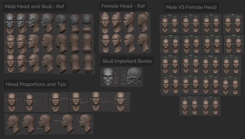 3D Blender头部雕刻大师教程 Master Sculpting Heads 3D Blender Course (V1.4)