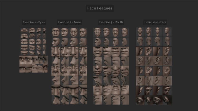 3D Blender头部雕刻大师教程 Master Sculpting Heads 3D Blender Course (V1.4)