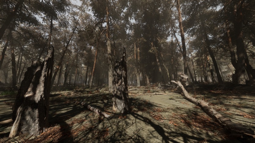 UE松树林基于摄影测量的高多边形松树林环境资产 Pine forest - Photogrammetry based High poly Biome