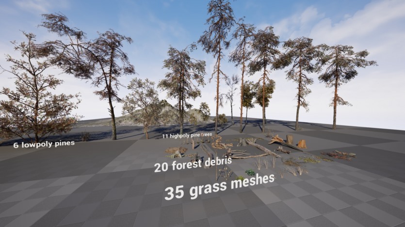 UE松树林基于摄影测量的高多边形松树林环境资产 Pine forest - Photogrammetry based High poly Biome