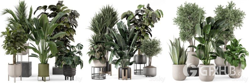 30套室内盆栽3D模型合集 - 20240802