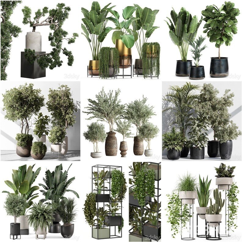 30套室内盆栽3D模型合集 - 20240802