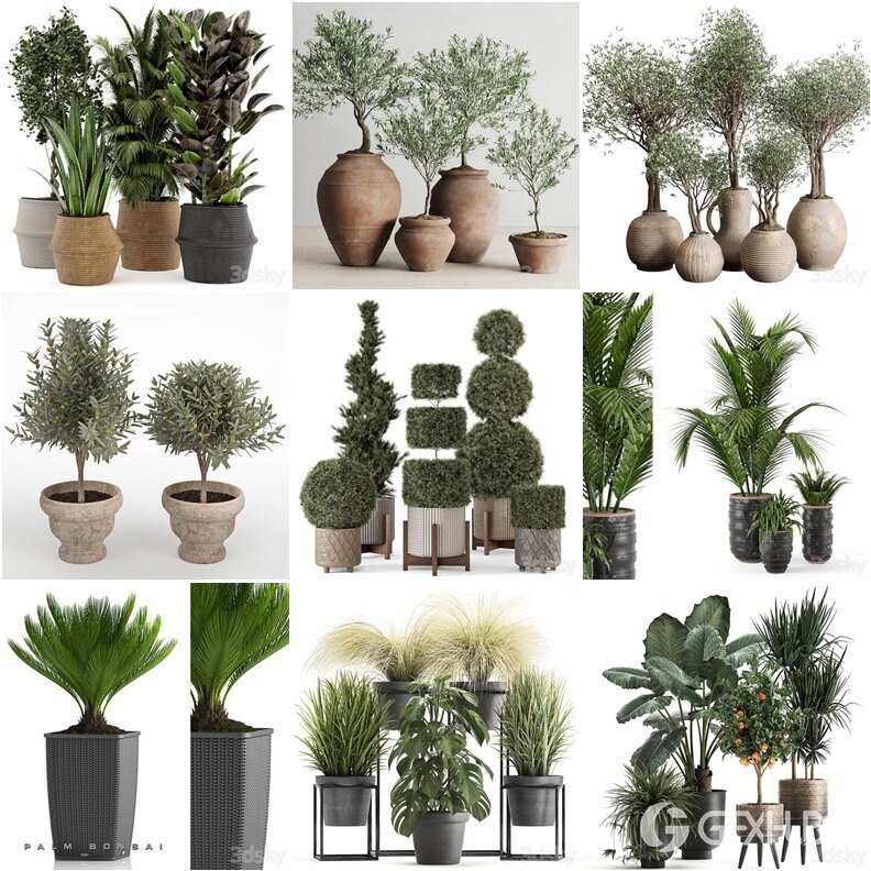 30套室内盆栽3D模型合集 - 20240802
